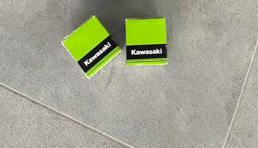 Лампи Kawasaki